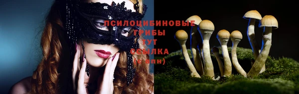 мяу мяу кристалл Магас