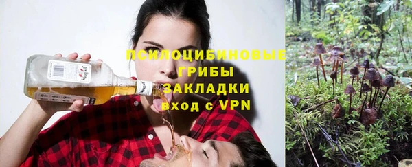 COCAINE Медногорск