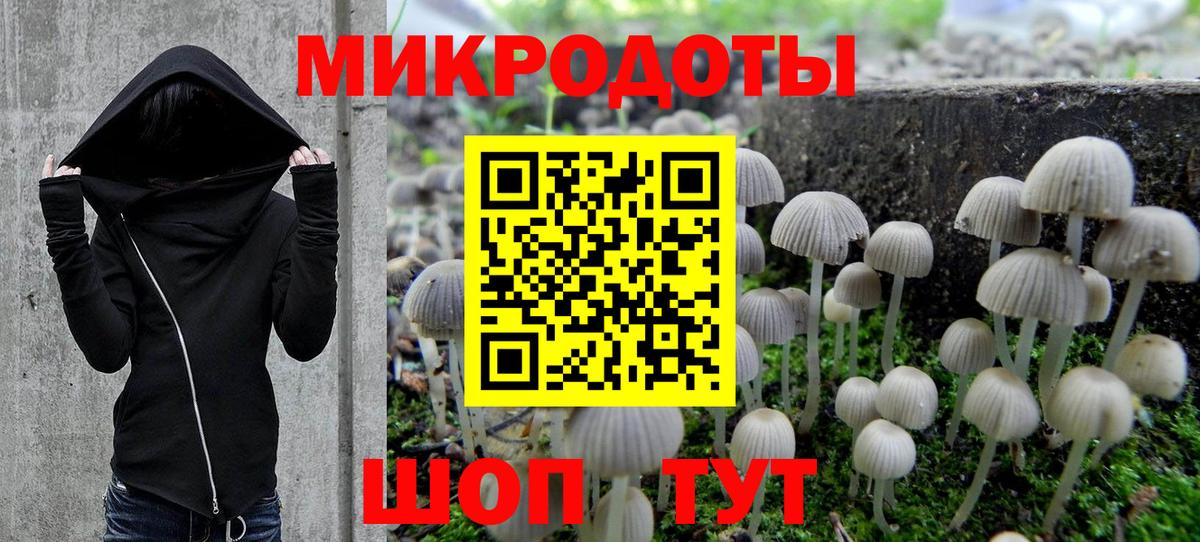 хочу наркоту  Избербаш  Галлюциногенные грибы GOLDEN TEACHER 